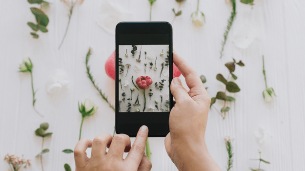 taking photo of flower display for social media